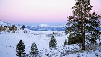 Nature In California Usa HD
