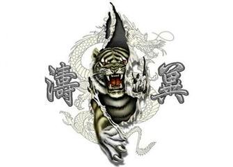 Pictures Tiger Dragon Yin And Yang Wallpaper The