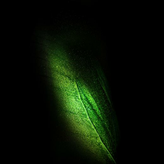 Samsung Galaxy Fold Wallpaper In Full Resolution Right Here