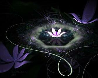 HD Flower Wallpaper Lotus