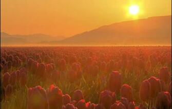 Wallpaper Mountains Fog Haze Usa Washington State Don Briggs
