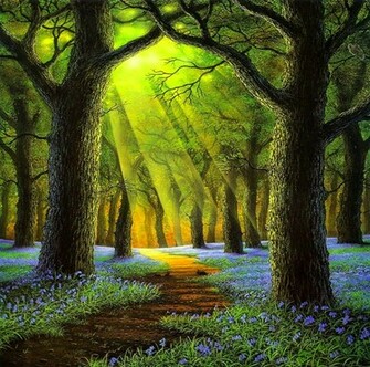 Sunday Morning In Forest Wallpaper