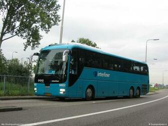 Man Bus Photos Wallpaper