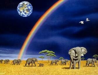 Elephant Computer Wallpaper Desktop Background Id