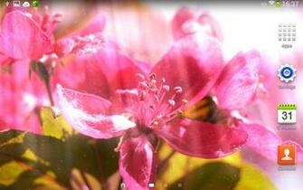Spring Flowers Live Wallpaper Android Apps On Google Play