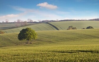 Countryside Background Wallpaper