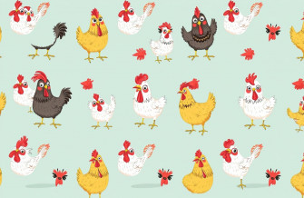 Funny Chicken Wallpaper
