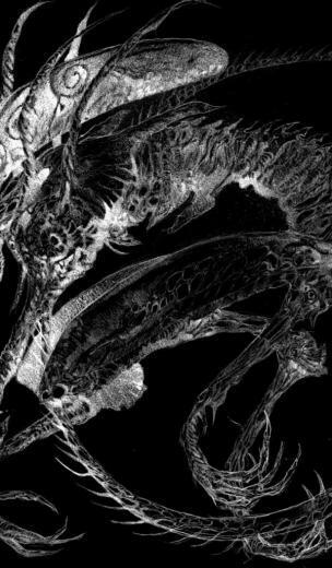 Alien H R Giger Xenomorph Black Background Fan Art Wallpaper