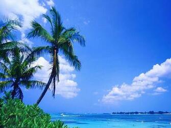 Tropical Beach Wallpaper Desktop