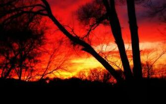 Wallpaper High Definition Quality Widescreen
