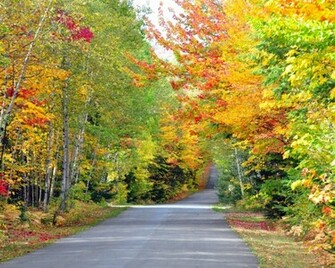 Desktop Wallpaper Fall Colors In HD