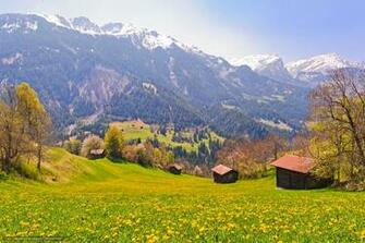 Berner Oberland Wallpaper Cake Ideas And Designs