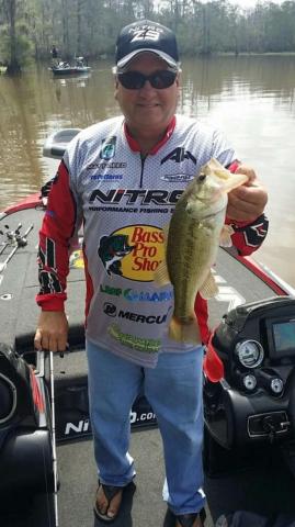 Reed Notches No Bassmaster