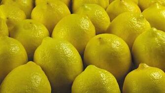 Lemon Computer Wallpaper Desktop Background