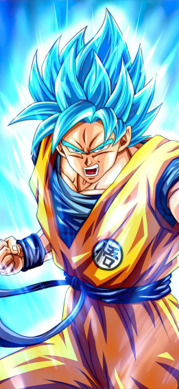 Blue Saiyan Son Goku iPhone Wallpaper
