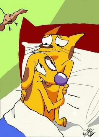 Catdog Image HD Wallpaper And Background Photos