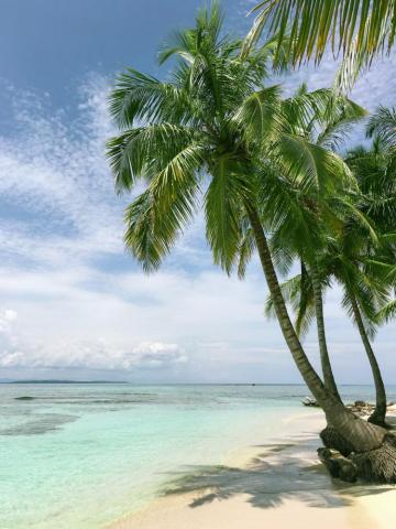 Beach Wallpaper HD Hq