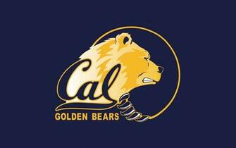 Chicago Bears Wallpaper HD Background
