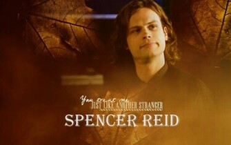 Reid Criminal Minds Wallpaper