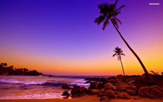 Beach Sunset Wallpaper