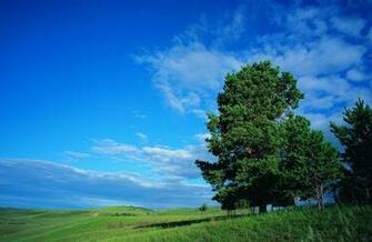 Best Nature Wide Screen Full HD Wallpaper