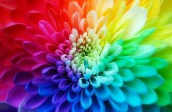 HD iPhone Cute Desktop Wallpaper Seven Colorful Screen