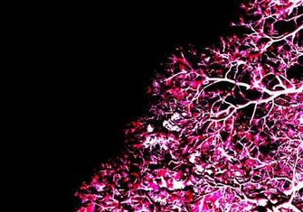 Neon Pink And Green Background