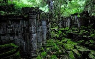 Ruins Decay Jungle Trees Forest Nature T Wallpaper Background