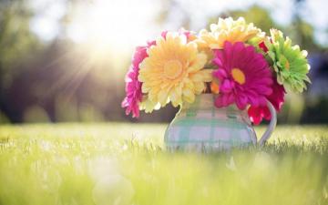 Cute Spring Desktop Wallpaper Top