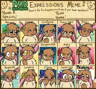 Pokemon Mystery Dungeon Team Expression Sheet By Sunniedoodles On