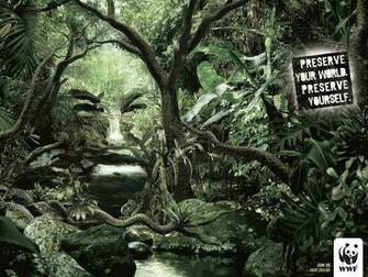 World Wildlife Fund Anger Wallpaper