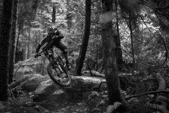 Rockshox Lyrik Rct3