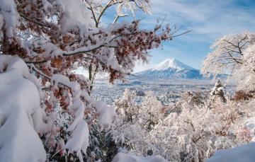 Wallpaper Winter Snow Trees Branches The Volcano Japan