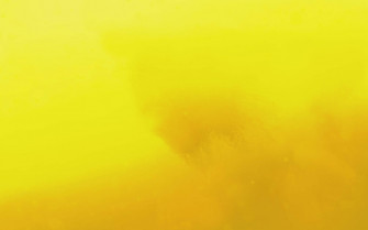 Top Neon Yellow Wallpaper Full HD 4k To Use