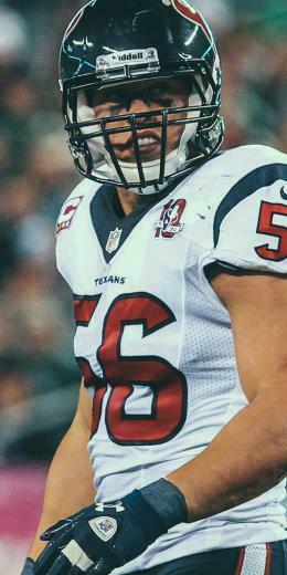 Brian Cushing
