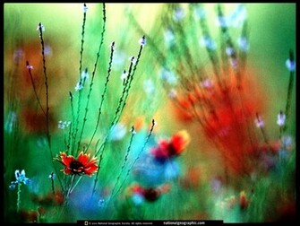 Computer Background And Screensavers