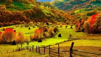 Forests Autumn Fall Seasons Leaves Color Scenic Bright Wallpaper