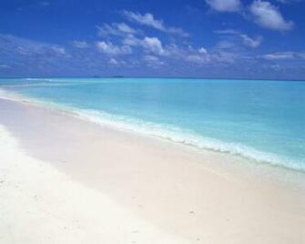Caribbean Beach Wallpaper Background Theme Desktop