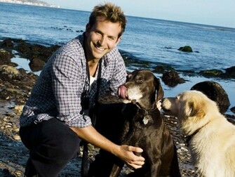 Bradley Cooper Desktop Wallpaper For HD Widescreen And Mobile