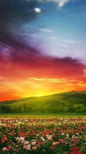 Source Url Galleryhip Htc HD Wallpaper Html