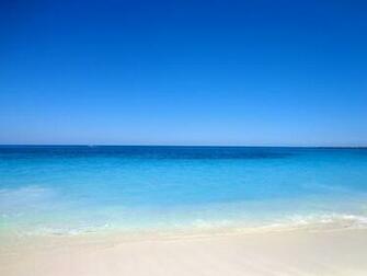 Spring Break Background Amazing While