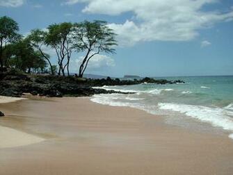 Maui Screen Savers