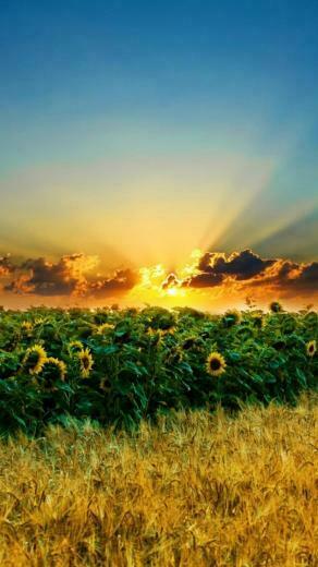 Sunset Lg G2 Wallpaper HD