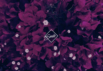 Violet Aesthetic Wallpaper