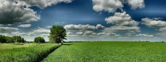 Dual Screen Panoramic Field Nature Fields HD Desktop Wallpaper