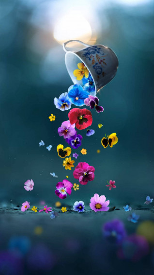 Flower Mobile Wallpaper