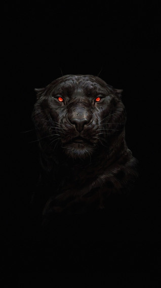 Tiger Glowing Red Eye Minimal Dark Wallpaper Lion