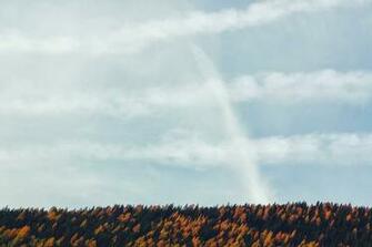 Treeline Pictures Image