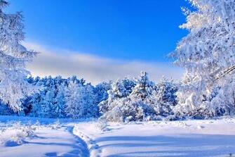 Sunny Winter Day Wallpaper