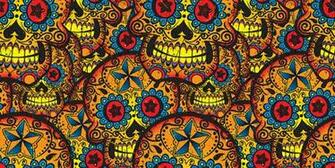 Skeleton Background Image Pictures Becuo